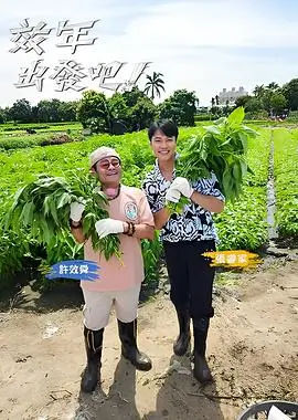 音乐之声综艺封面